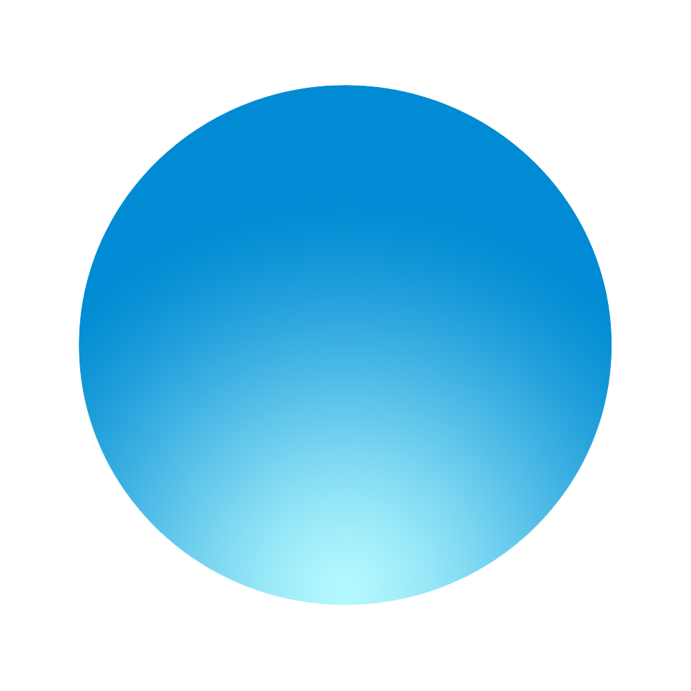Web Developer - Freelance